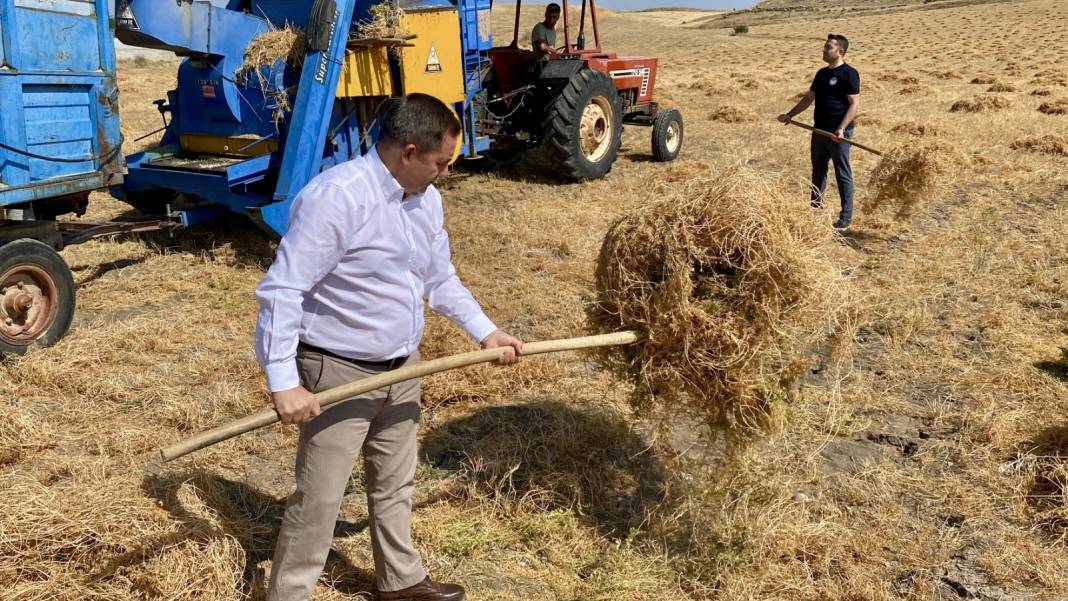 Hasat sonrası 10-15 gün kurumaya bırakılacak: Paketlemeden önce kabuğundan ayrılıyor 8